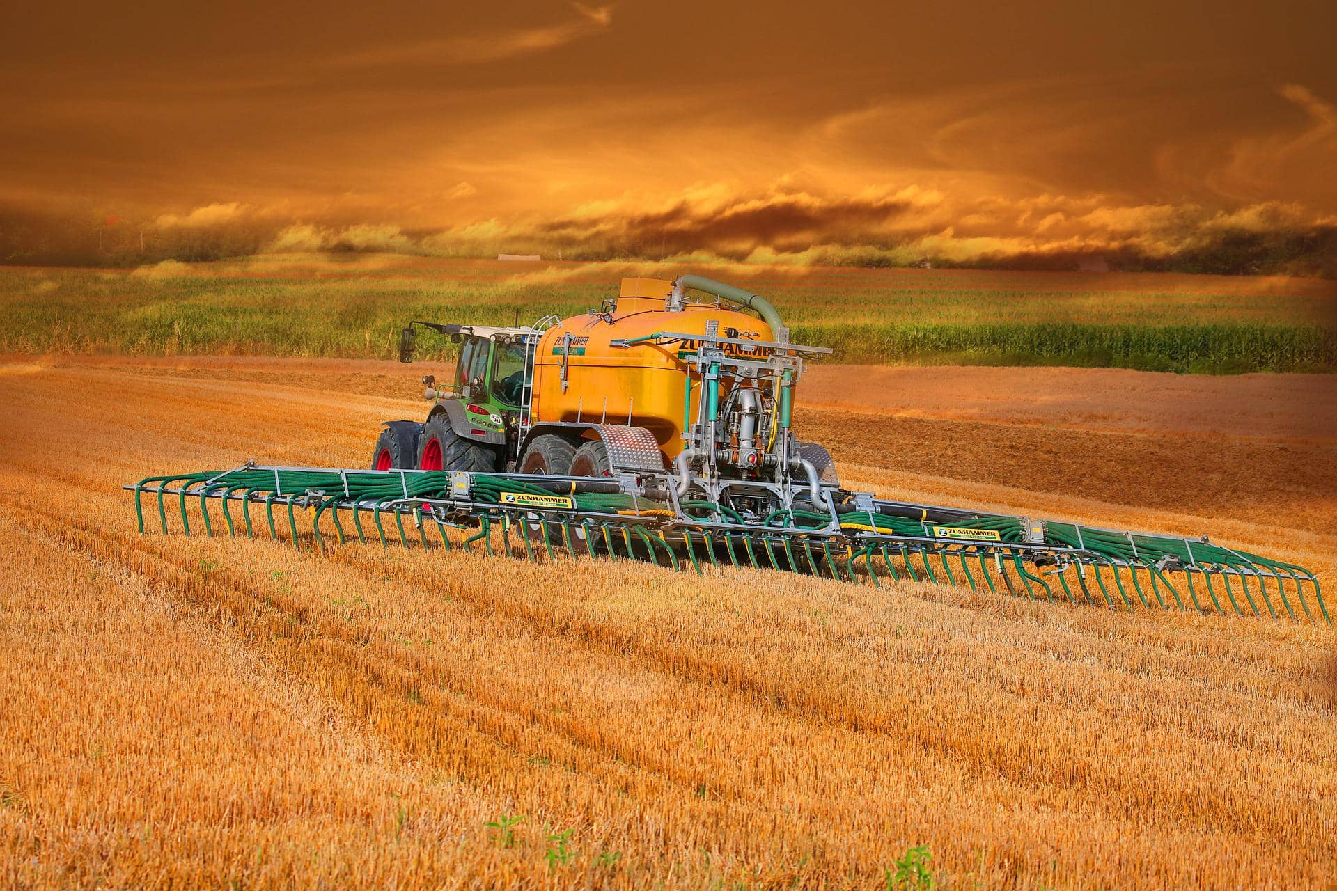 Urea